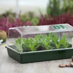 Propagator átlátszó tetővelkét szellőzővel38x24x18cm Expressz kézbesítés